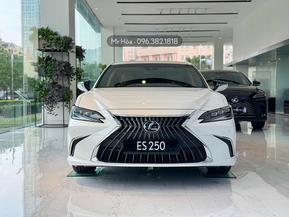 Xe Lexus ES 250 ES300H 2025 - 2026